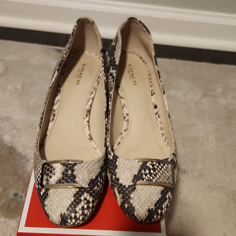 Coach Isla Snake Print Women's Shoes